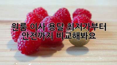 원룸 이사 용달, 최저가부터 안전까지 비교해봐요!
