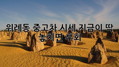 위례동 중고차 시세, 지금이 딱! ✨ 놓치면 후회!